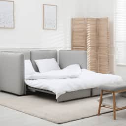 Sofa Cleaning - Sofa Cum Bed Clean