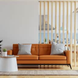 Add - Ons - Leather Sofa Cleaning