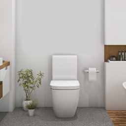 Kitchen, bathroom & balcony - Bathroom painting