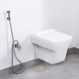 Toilet - Wall mounted western toilet replacement