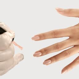 Nail add-ons - Classic polish change