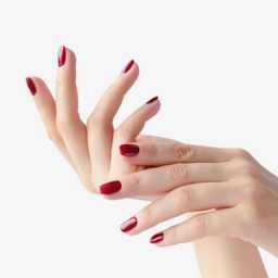 Signature  - Signature manicure