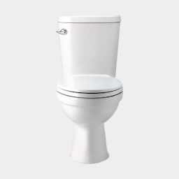 Toilet - Western toilet replacement