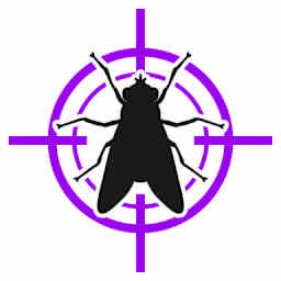 Flies control - Flies control for apartment