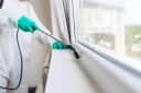 Offices & Shops Pest Control