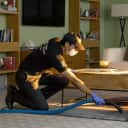 Carpet cleaning