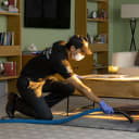 Carpet cleaning