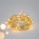 Decorative Lights