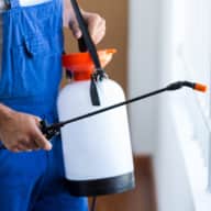 Bed Bug Control - Bed Bug Control - Office