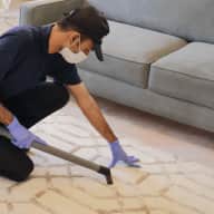 Carpet cleaning - Carpet cleaning
