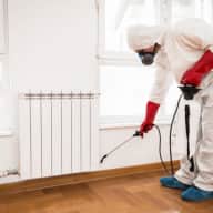 Cockroach, Ant & General Pest Control - Cockroach Control - Apartment