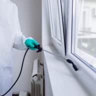Bed Bug Control - Bed Bug Control - Apartment