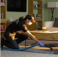 Furnished apartment - Classic Full Home Cleaning