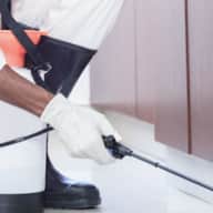 Cockroach, Ant & General Pest Control - Cockroach Control - Villa