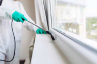 Offices & Shops Pest Control - Offices Pest Control