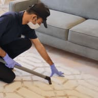 Carpet cleaning - Carpet cleaning