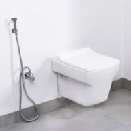 Toilet - Wall mounted western toilet replacement