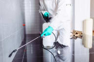 Kitchen & Bathroom Pest Control - Bathroom & Kitchen