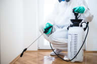 Kitchen & Bathroom Pest Control - Bathroom & Kitchen with Utensil Removal