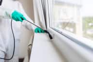 Offices & Shops Pest Control - Offices Pest Control