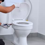 Toilet - Toilet seat cover replacement