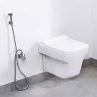 Toilet - Wall mounted western toilet replacement