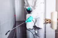 Kitchen & Bathroom Pest Control - Bathroom & Kitchen