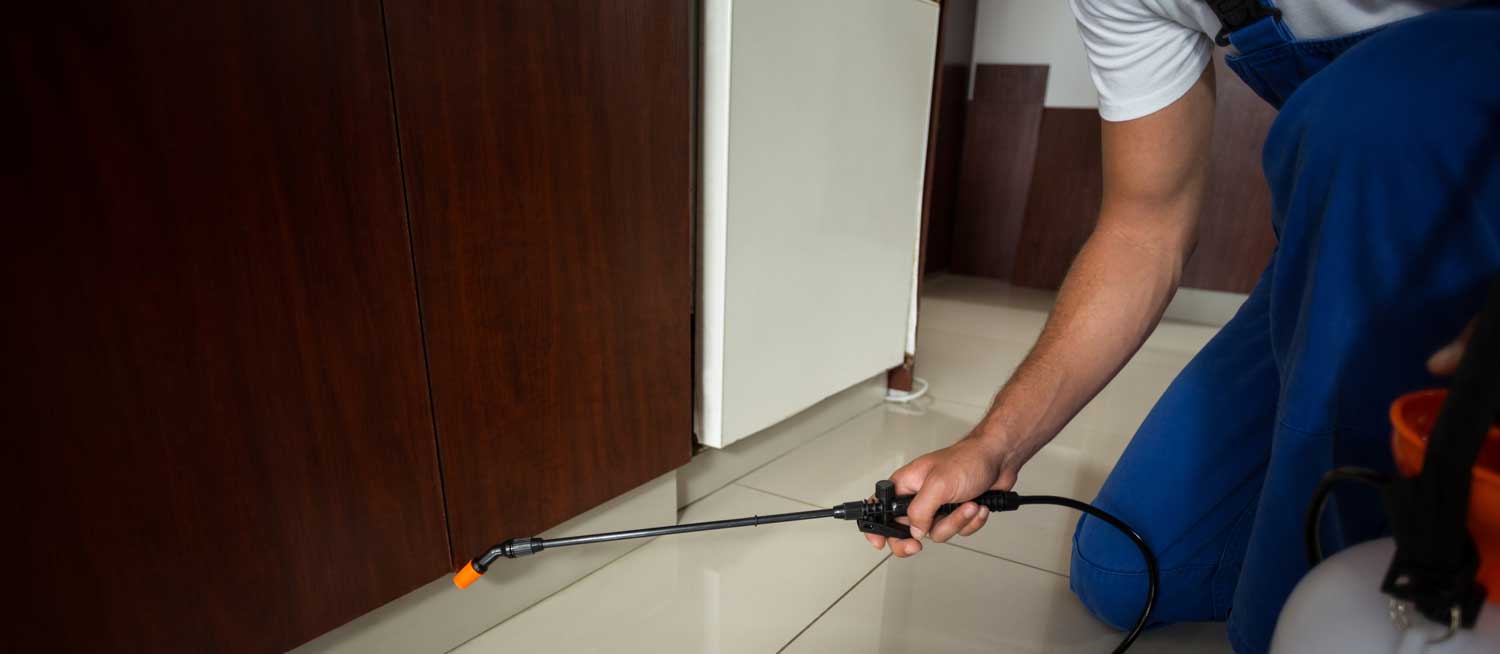 Godreja Pest Control, Rt Nagar - Residential Pest Control Services in  Bangalore - Justdial