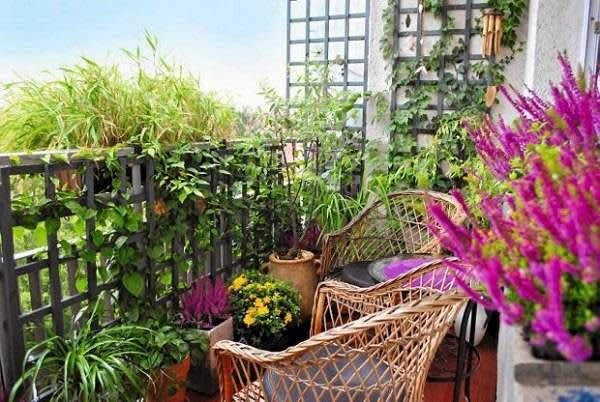 balcony garden