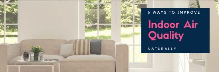 6 Ways To Improve The Air Quality Of Your Home Naturally