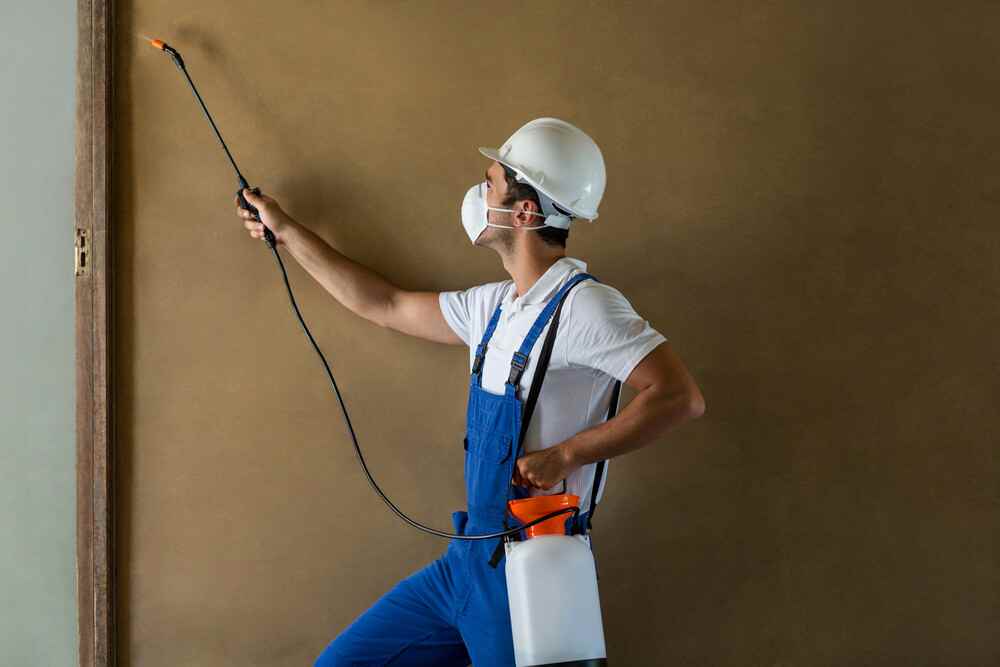 5 Signs Your Home Is Infested With Termites