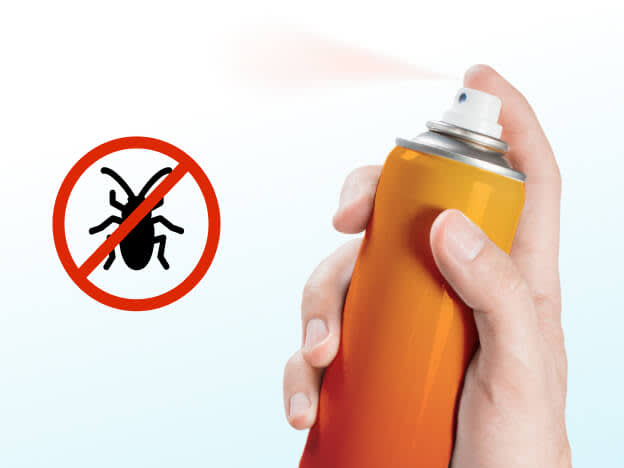 Cockroach, Ant & General Pest Control