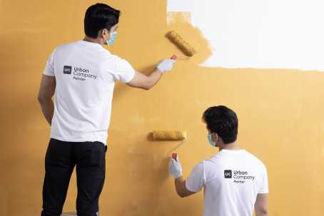 Full home painting