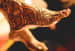 Pakistani Bridal Feet Mehendi Design by Pixel Blender Bridal-mehendi | Weddings Photos & Ideas