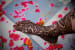 Detailed Bridal Mehendi Design For Feet by Sourab Sharma Bridal-mehendi | Weddings Photos & Ideas