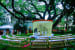 Wedding Venue by Dilip Wedding-decor | Weddings Photos & Ideas