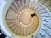 Spiral Staircase with White Flooring by Viraf Laskari Indoor-spaces Contemporary | Interior Design Photos & Ideas