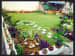 open garden with indoor plants by Piyush Gaba Open-spaces Contemporary | Interior Design Photos & Ideas