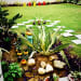 Green open space with lovely plants by Piyush Gaba Open-spaces Contemporary | Interior Design Photos & Ideas