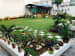 Flattering Beauty by Piyush Gaba Open-spaces Contemporary | Interior Design Photos & Ideas