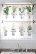 Window Decor With Indoor Garden by Live Fabulous Living-room Modern | Interior Design Photos & Ideas