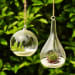 Hanging Lights With Plants Background by Live Fabulous Open-spaces Modern | Interior Design Photos & Ideas