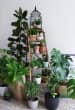 Home Entrance With Greenery by Live Fabulous Open-spaces Contemporary | Interior Design Photos & Ideas
