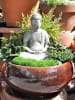 Buddha Miniature In Flower Pot by Live Fabulous Open-spaces Contemporary | Interior Design Photos & Ideas