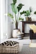 Standard White Fusion Hallway by Live Fabulous Living-room Contemporary | Interior Design Photos & Ideas