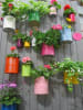 Grey Wall Planting by Live Fabulous Open-spaces Eclectic | Interior Design Photos & Ideas