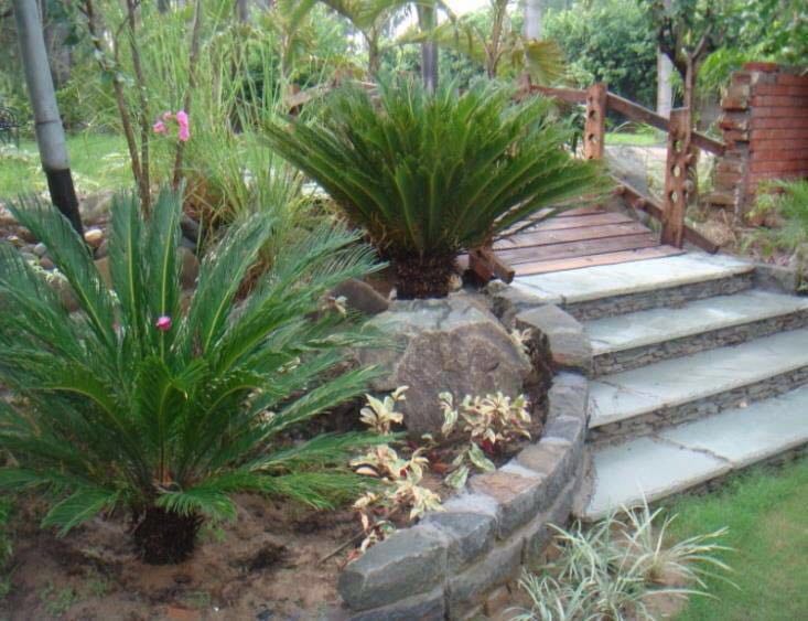 Garden Decor Ideas With Stone Pathway by Pavitra Agarwal Open-spaces Modern | Interior Design Photos & Ideas