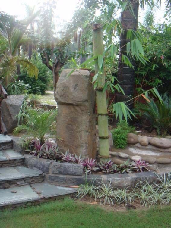 Beautiful garden decor ideas by pavitra agarwal