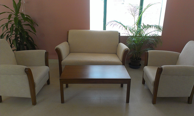 A decent looking sofa by Vinitaa Ranjan Living-room | Interior Design Photos & Ideas