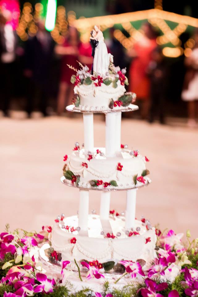 The Magnificent Pink Tinged Cake by Terence Pimenta Photography Wedding-photography | Weddings Photos & Ideas